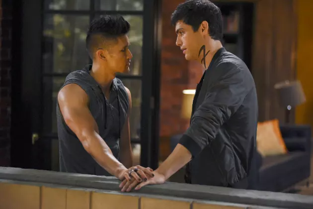 alec-magnus relationship